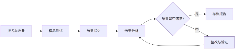PT项目流程图