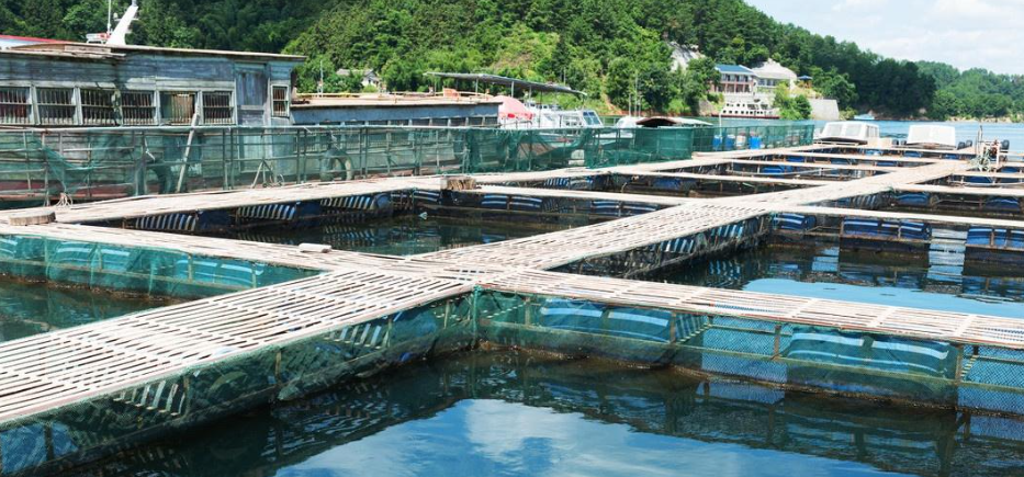 淡水水产中心顺利通过CMA扩项评审